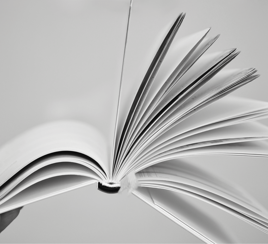 Dash Elite Driving School 